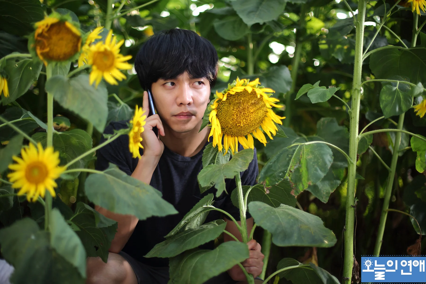 Yêu Phải Nàng Lắm Chiêu - Love Forecast